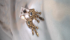 Girls Earrings